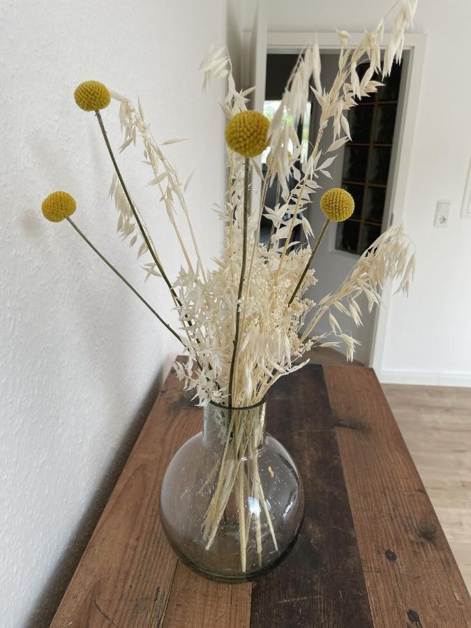 Apartament Flatlight - Perfect For 4 - Kitchen - Parking - Netflix Hildesheim Zewnętrze zdjęcie